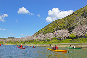 お花見シーカヤック