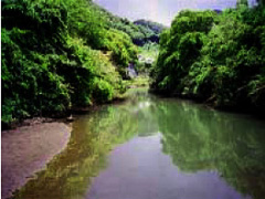 旧河川道・下流部の写真