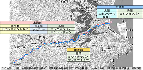 熱海和田川流域で確認されている主な重要種