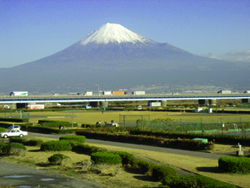 富士山の写真