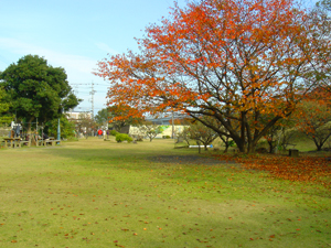 清見潟公園の写真2