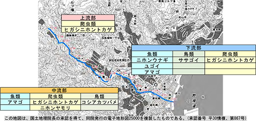 初川流域で確認されている主な重要種