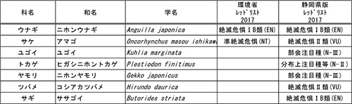 初川流域で確認されている重要種