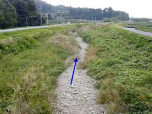 東大谷川の瀬涸れの状況の写真