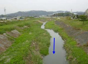 東大谷川橋上流の写真