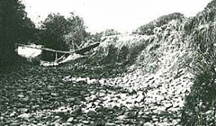 東大谷川_洪水被害の写真3