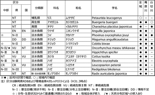 庵原川流域で確認された注目する必要のある種（重要種）