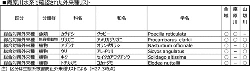 庵原川流域で確認された注意する必要のある種（外来種）