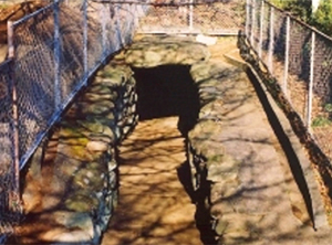 神明山古墳の写真