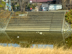 下河原公園脇の階段護岸の写真