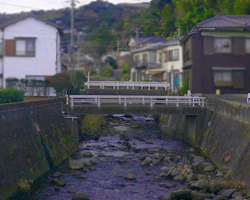 稲取大川の風景の写真