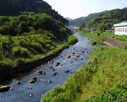 稲生沢川（中流域）の風景の写真