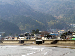 留田の浜の写真