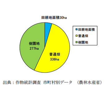 伊東市の耕地面積の内訳（平成17年度）