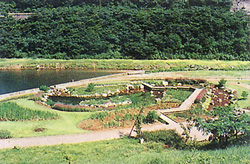 湿生植物園の写真