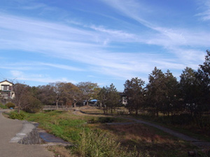 清住緑地の写真