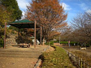 上岩崎公園の写真