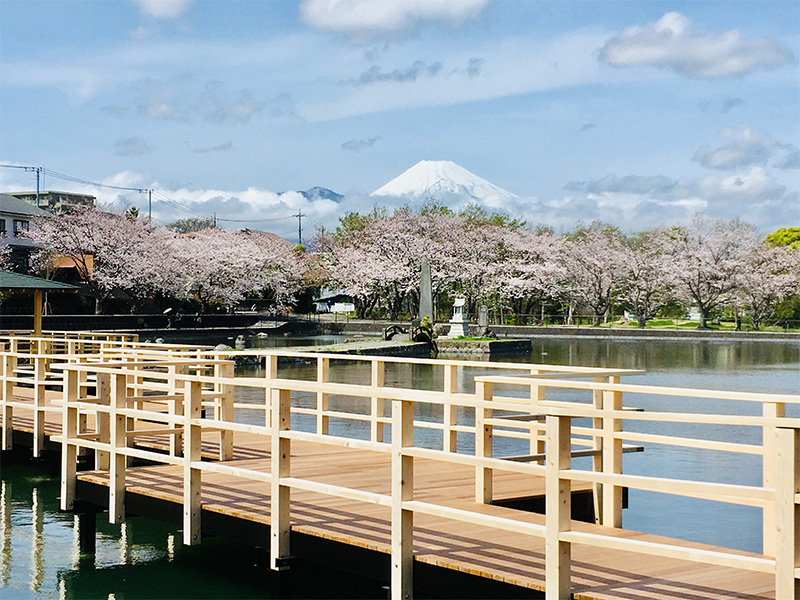 丸池と富士山（拡大）