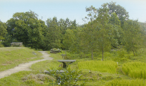 清住緑地の写真