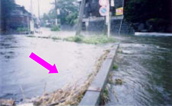 境川・清水町久米田・新橋付近の写真