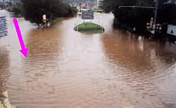 洞川・四日町・狩野川合流点の写真