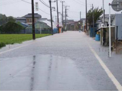 柿沢川・長崎地区の写真