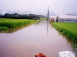 江間川・北江間地区の写真1