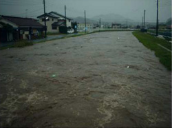 韮山古川・渋川合流点の写真