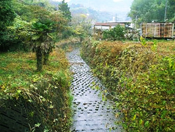 寺田橋上流の写真