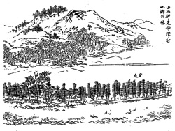 東神澤村片瀬桃林古絵図の画像