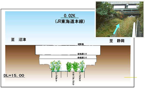 植物調査結果の画像