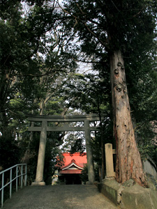 比波預天神社の写真