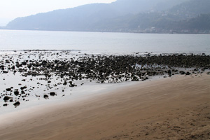 留田の浜の写真