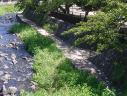 郷戸公園・散策路の写真