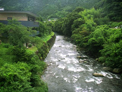 河津橋付近の写真