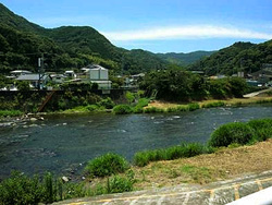 河津川下流0.7km付近の写真