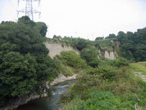 切り立った川岸の状況の写真