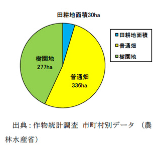 伊東市の耕地面積の内訳（平成17年度）