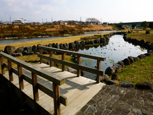 馬込川上島緑地の写真