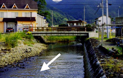 松原川下流部の写真