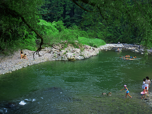 都田川・川合淵付近(みやこだがわ・かわいふちふきん)の写真
