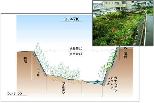 植物調査結果の画像