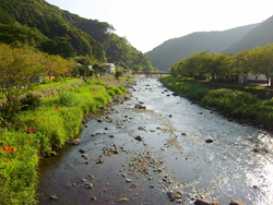 仁科川の風景の写真