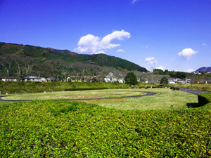 家山ふれあいスポーツ広場の画像