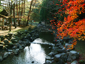 童子沢・親水公園(わっぱざわ・しんすいこうえん)の写真