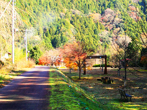鵜山森林公園の写真