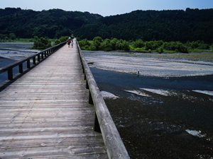 大井川・蓬来橋付近(おおいがわ・ほうらいばしふきん)の写真