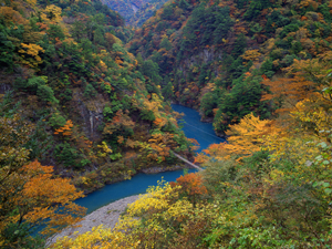 寸又川・夢の吊り橋付近(すまたがわ・ゆめのつりはしふきん)の写真