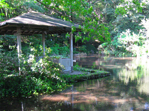 竹ヶ沢公園の写真2