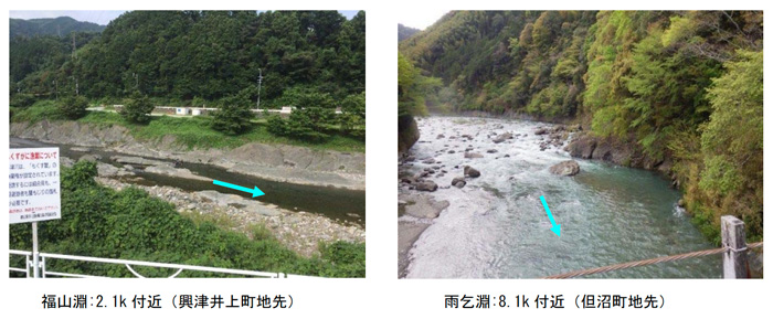 興津川の代表的な淵